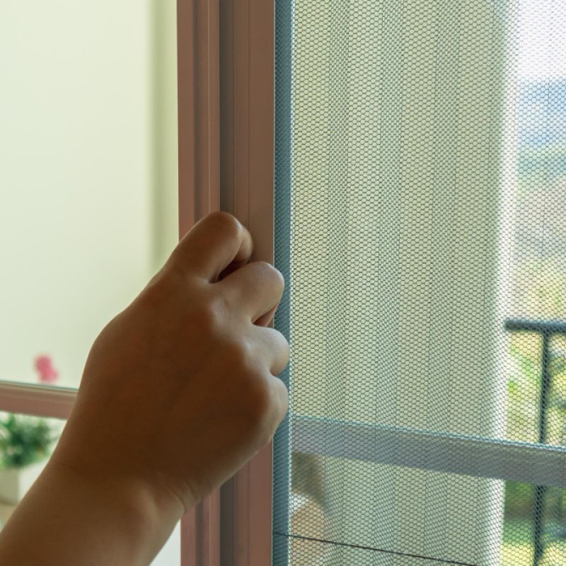 Balkon ve teras sineklik uygulamaları
